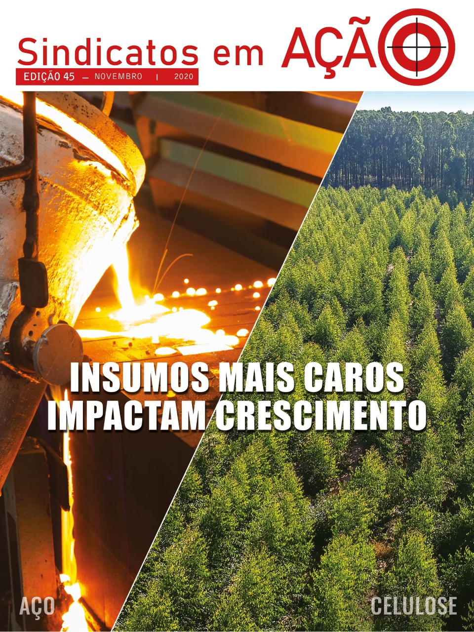 Revista Sindicatos em Ação – Edição 45 - Insumos mais Caros Impactam Crescimento