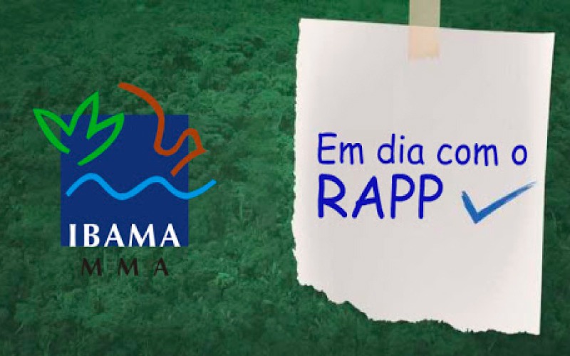 Relatório anual de atividades potencialmente poluidoras e utilizadoras de recursos ambientais  