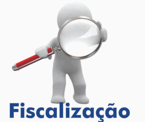 Fiscalização Trabalhista e a Dupla Visita